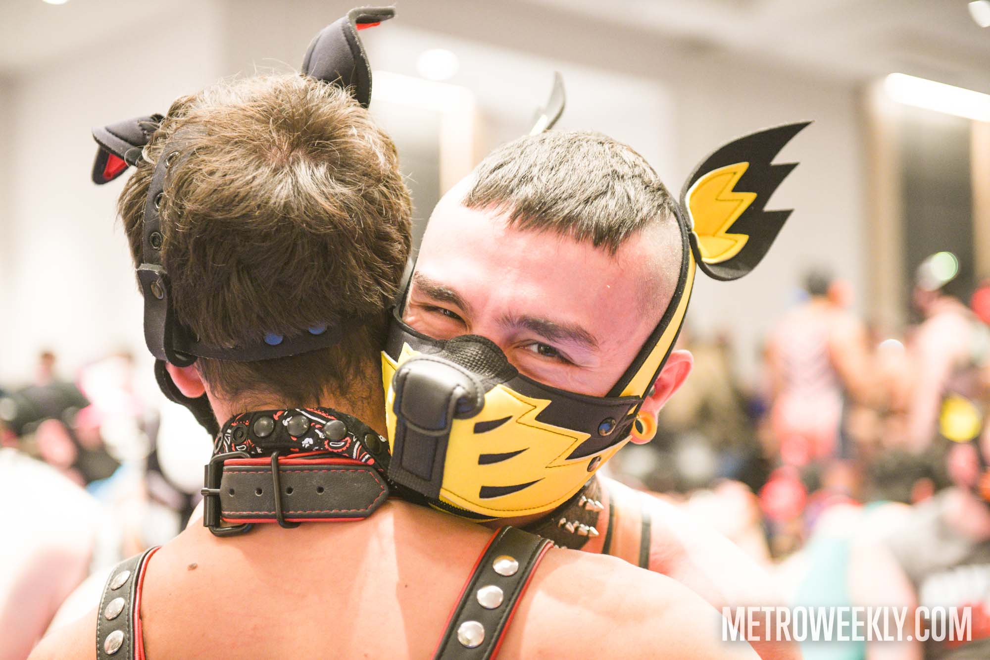 #30 of 168 : 2026-01-23_3027_179246.jpg