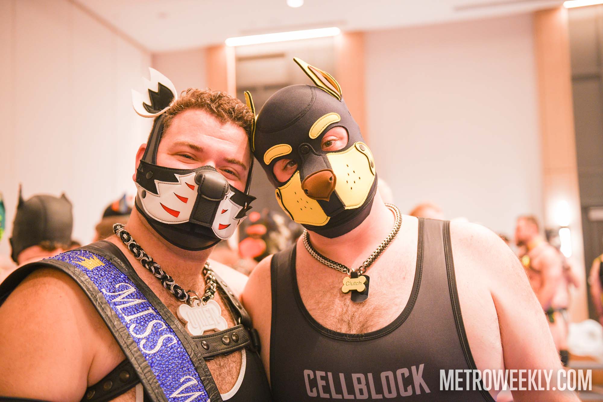 #33 of 168 : 2026-01-23_3027_179249.jpg