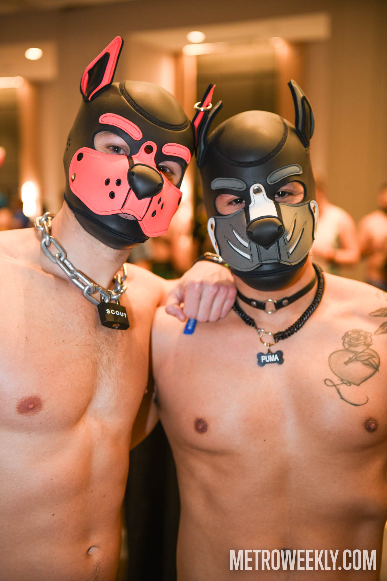 #160 of 168 : 2026-01-23_3027_179376.jpg