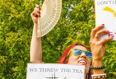 No Kings March, Washington D.C. #110